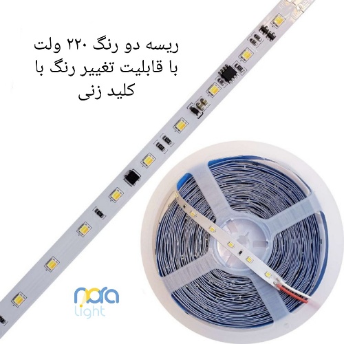 صفحه اصلی